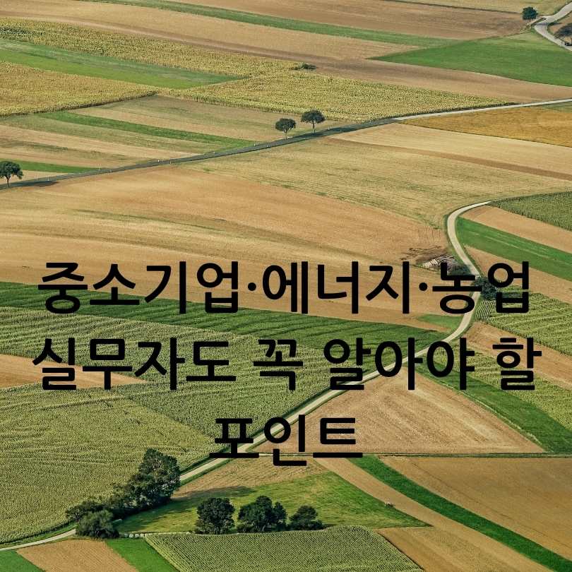 2025 하반기 달라지는 정책