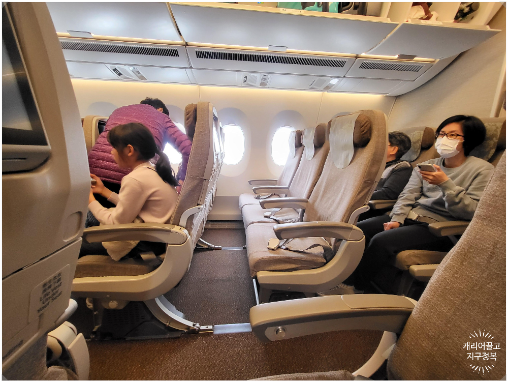 싱가폴에 가는 동방항공 A350