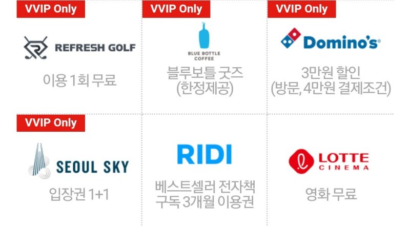 VVIP포인트 2