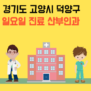 경기도 고양시 덕양구 일요일 산부인과 진료 병원 리스트