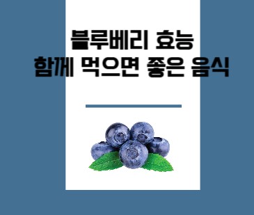 블루베리효능
