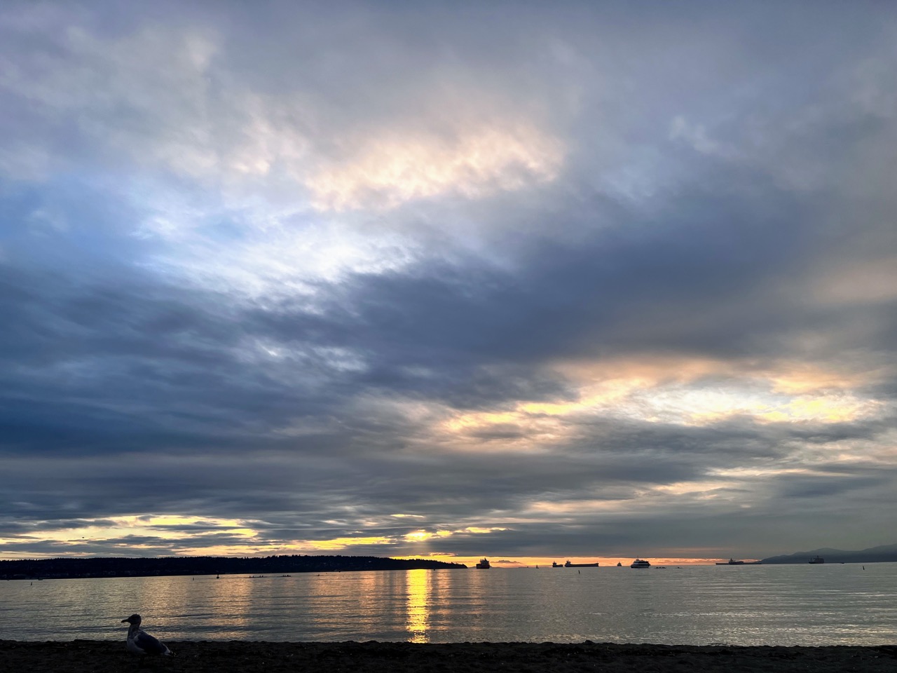 잉글리시 베이 비치. 조금씩 해가 떨어지기 시작했다.