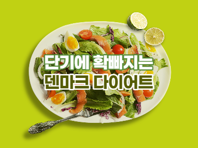 단기다이어트 덴마크 다이어트