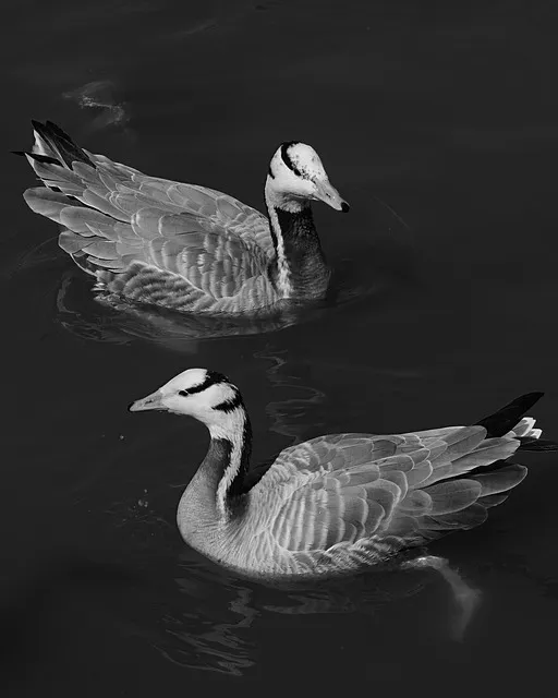 칸트 순수이성비판 7가지 관점 철학적 논점과 현대적 적용_5