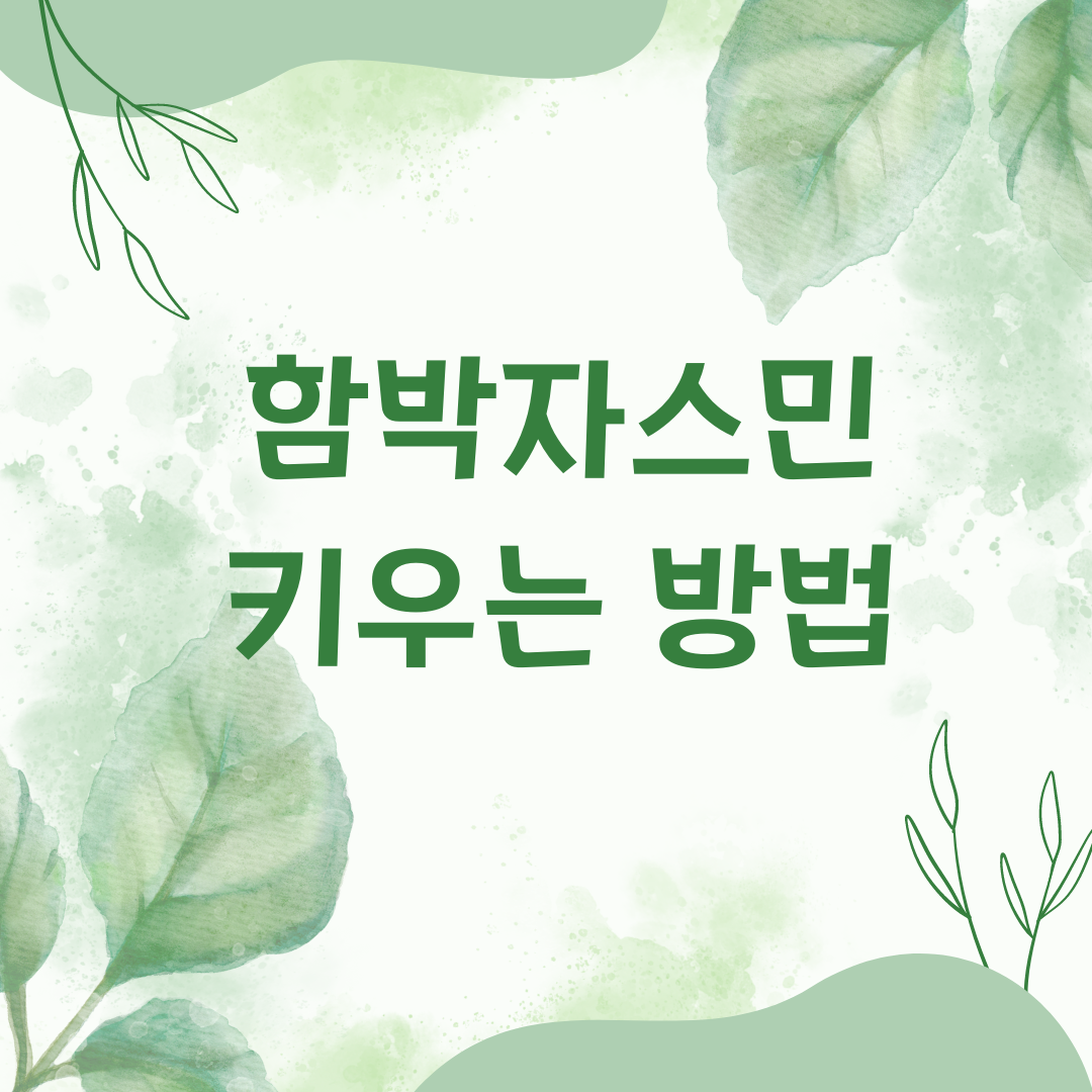 함박자스민 키우는법