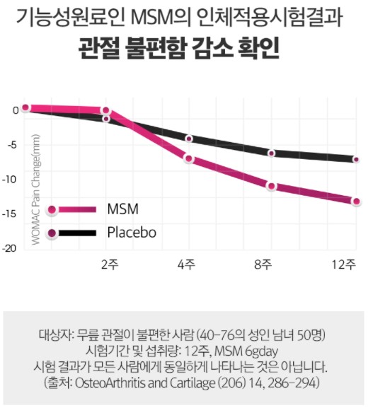 msm실험