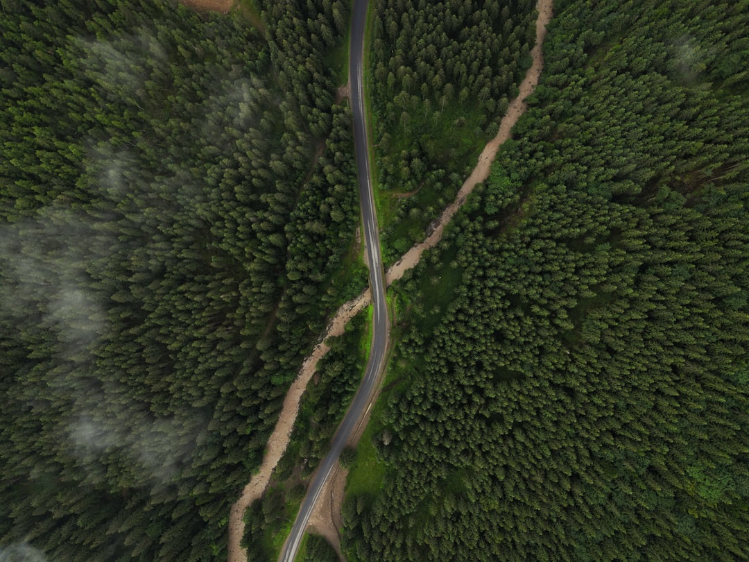 Scenic Route