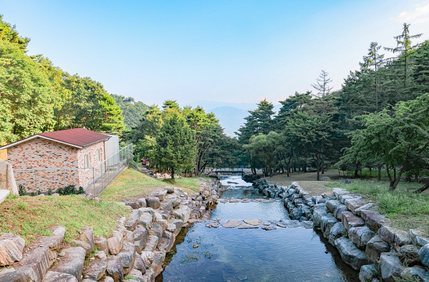 대봉산자연휴양림