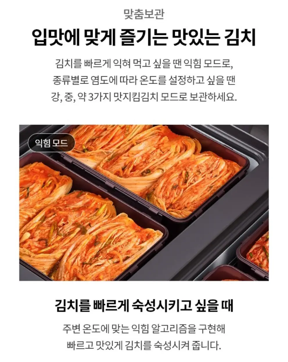 사진11