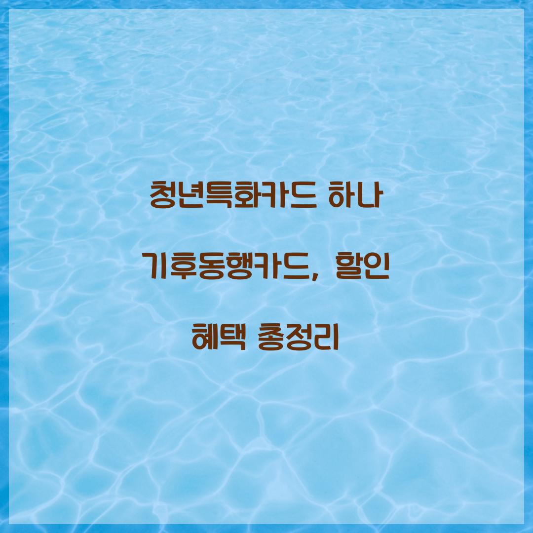청년특화카드 하나 기후동행카드