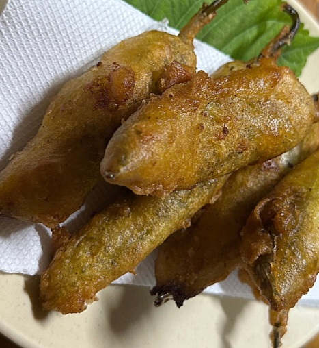 생생정보 진현할머니 김치찌개와 전 밥상