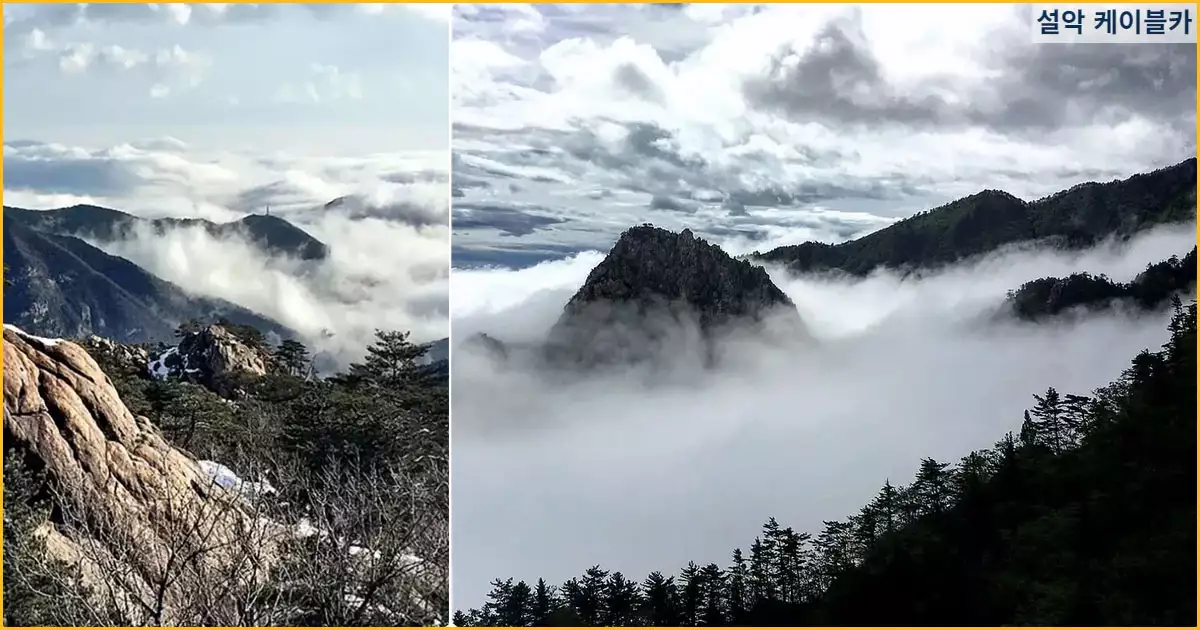 정상의 설악산