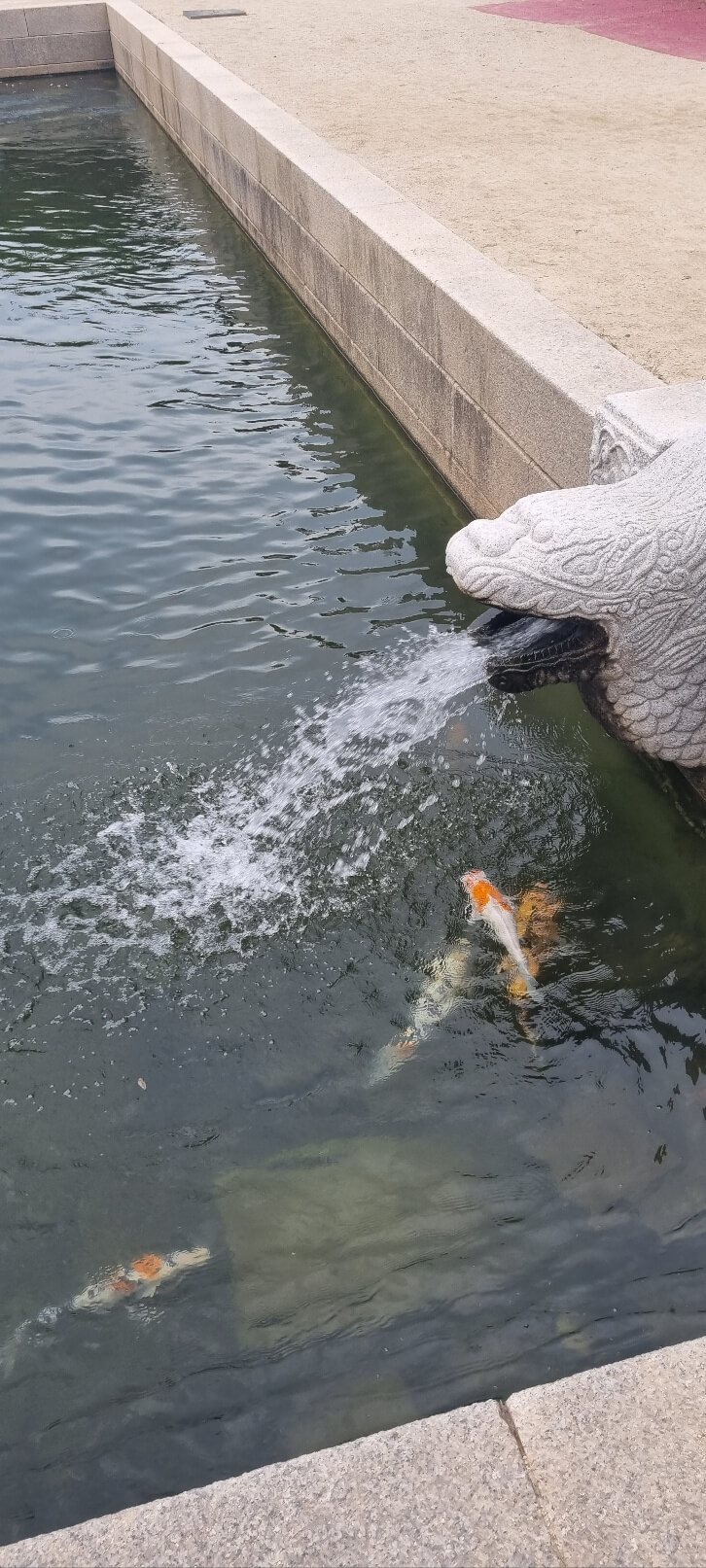 순천만 국가정원 관람 시간 입장료 주차장