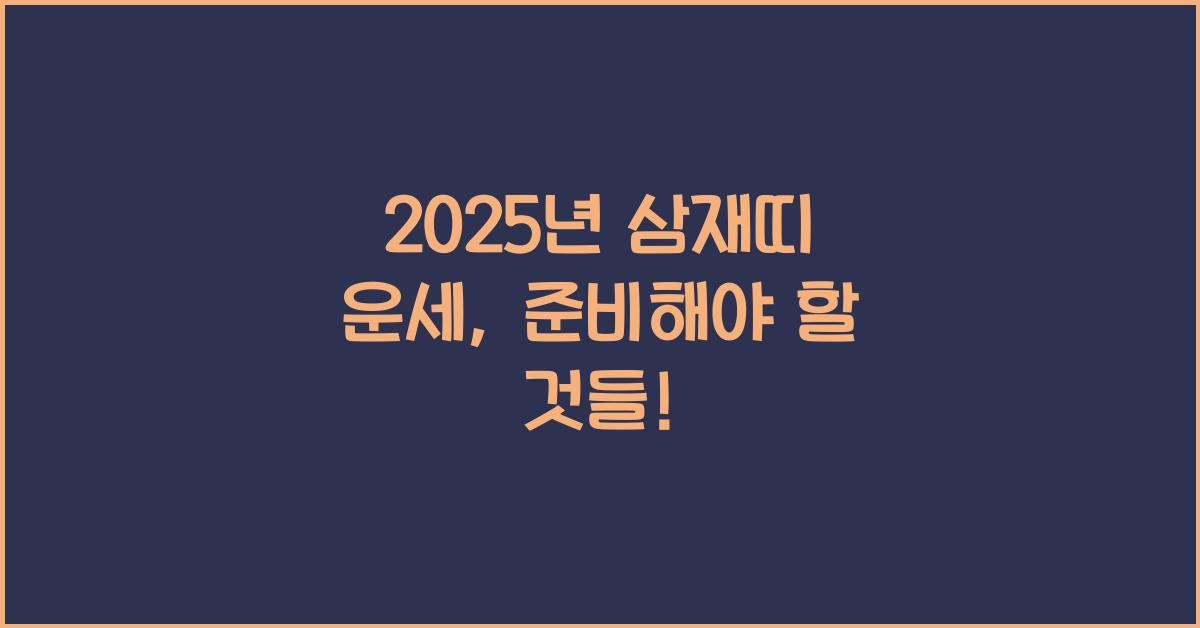2025년 삼재띠