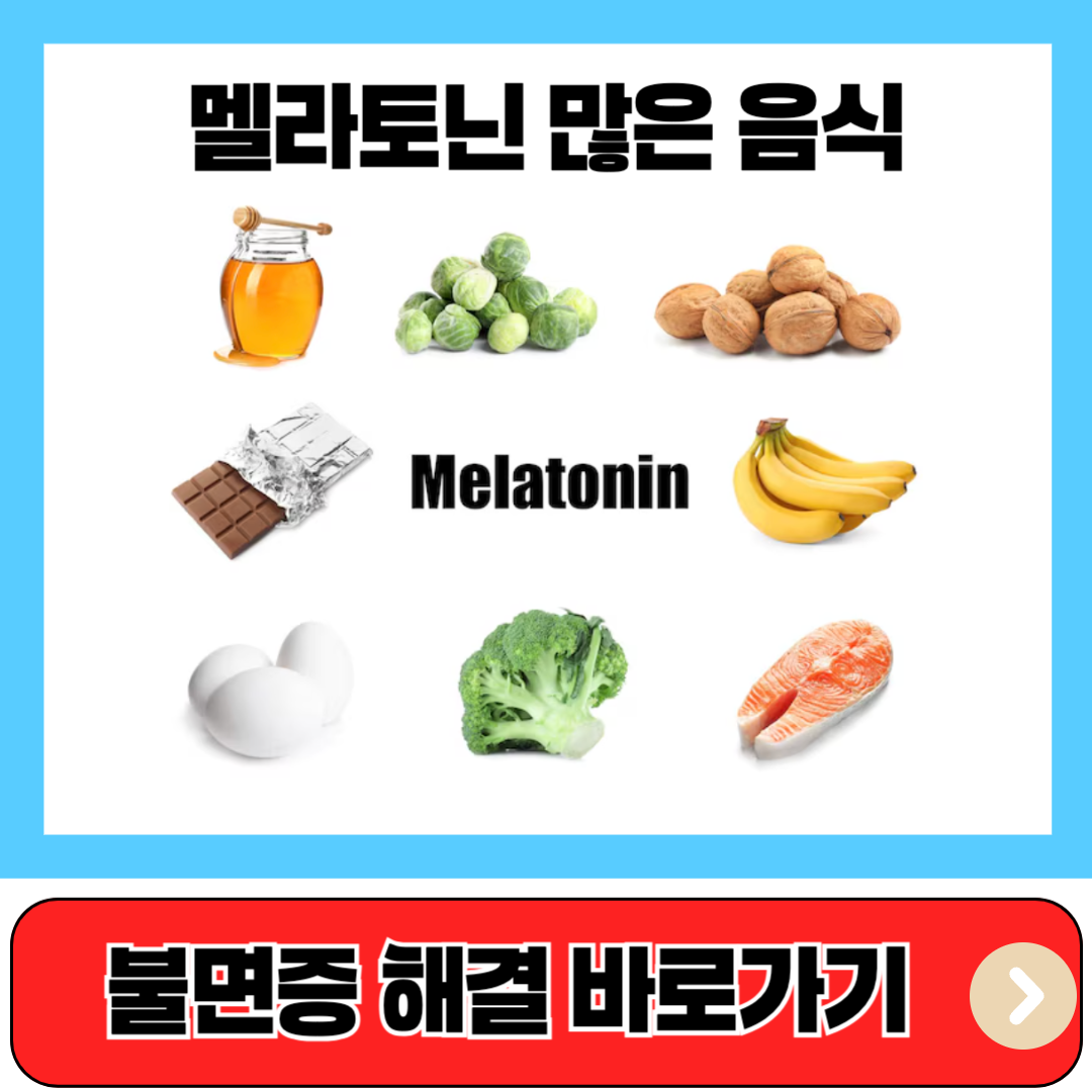멜라토닌 많은 음식
