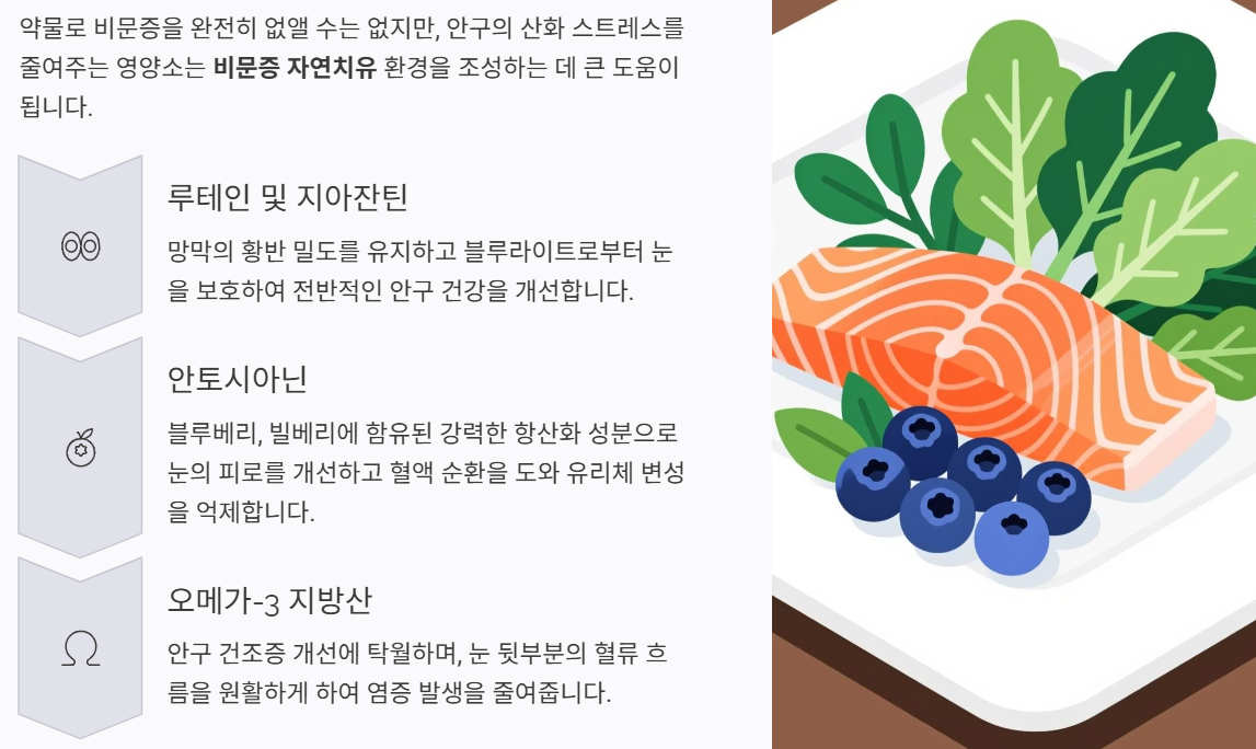 비문증 자연치유 방법