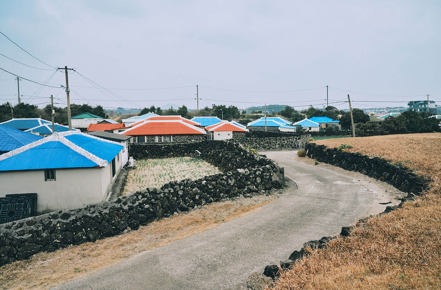 올레길 20코스, 해안 절경과 함께 비 속에서 즐기는 여유🌧️