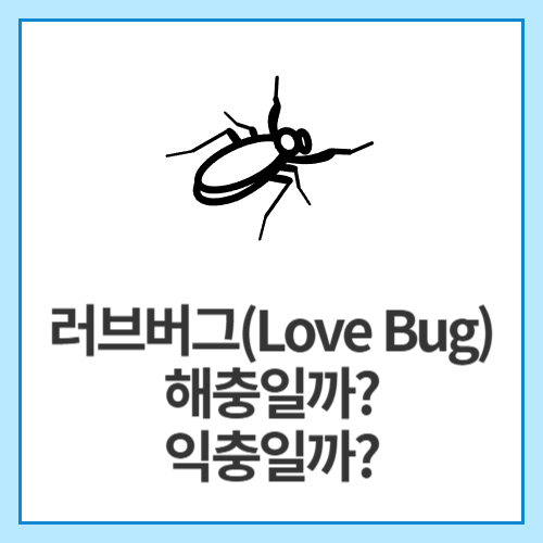 러브버그(Love Bug),-해충일까-익충일까