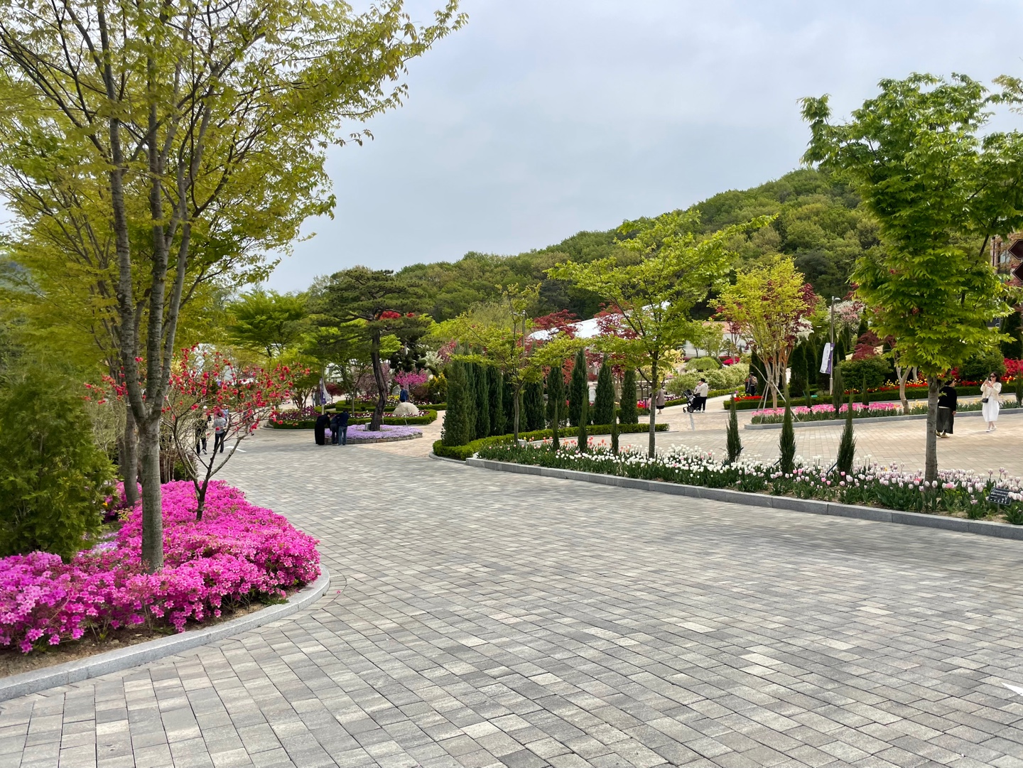 용인 자작나무숲 베툴라 대형 베이커피 카페