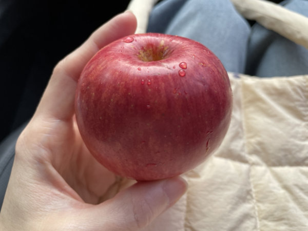 간단한 아침 메뉴 추천 - 껍질째 사과 한 알