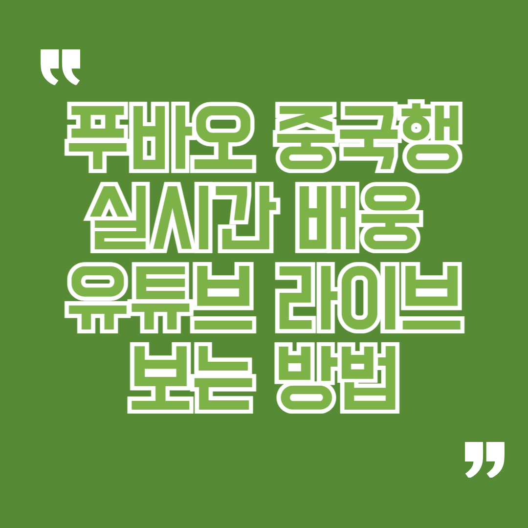 푸바오 중국행 실시간 배웅 유튜브 라이브 보는 방법 강철원 사육사 동행