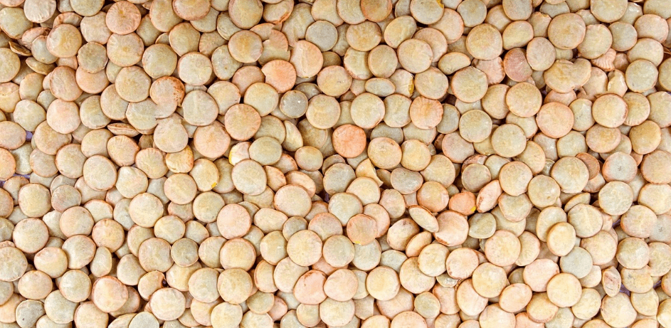 철분이 많은 음식과 관련 된 사진 - 2010