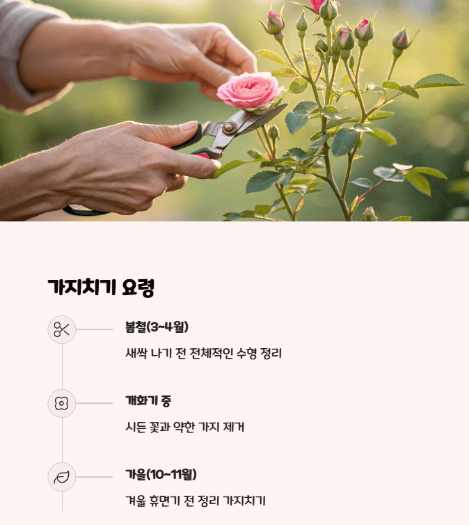 미니장미 가자치기