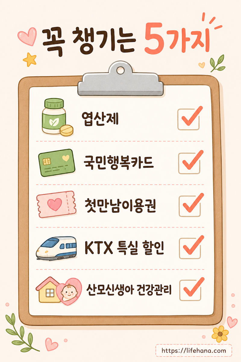 정부24 포털 화면에서 엽산제 배송 및 KTX 특실 환승 우대 등 맘편한임신 15가지 통합 패키지 선택 탭을 보여주는 화면 인포그래픽