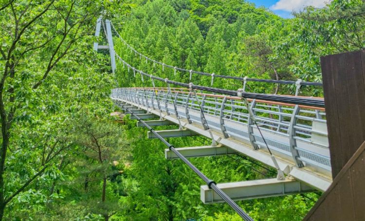 장태산 자연휴양림