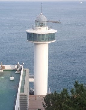 부산 태종대, 바다와 절벽이 만든 절경 속으로