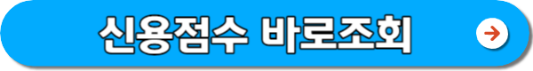 무직자 비상금대출