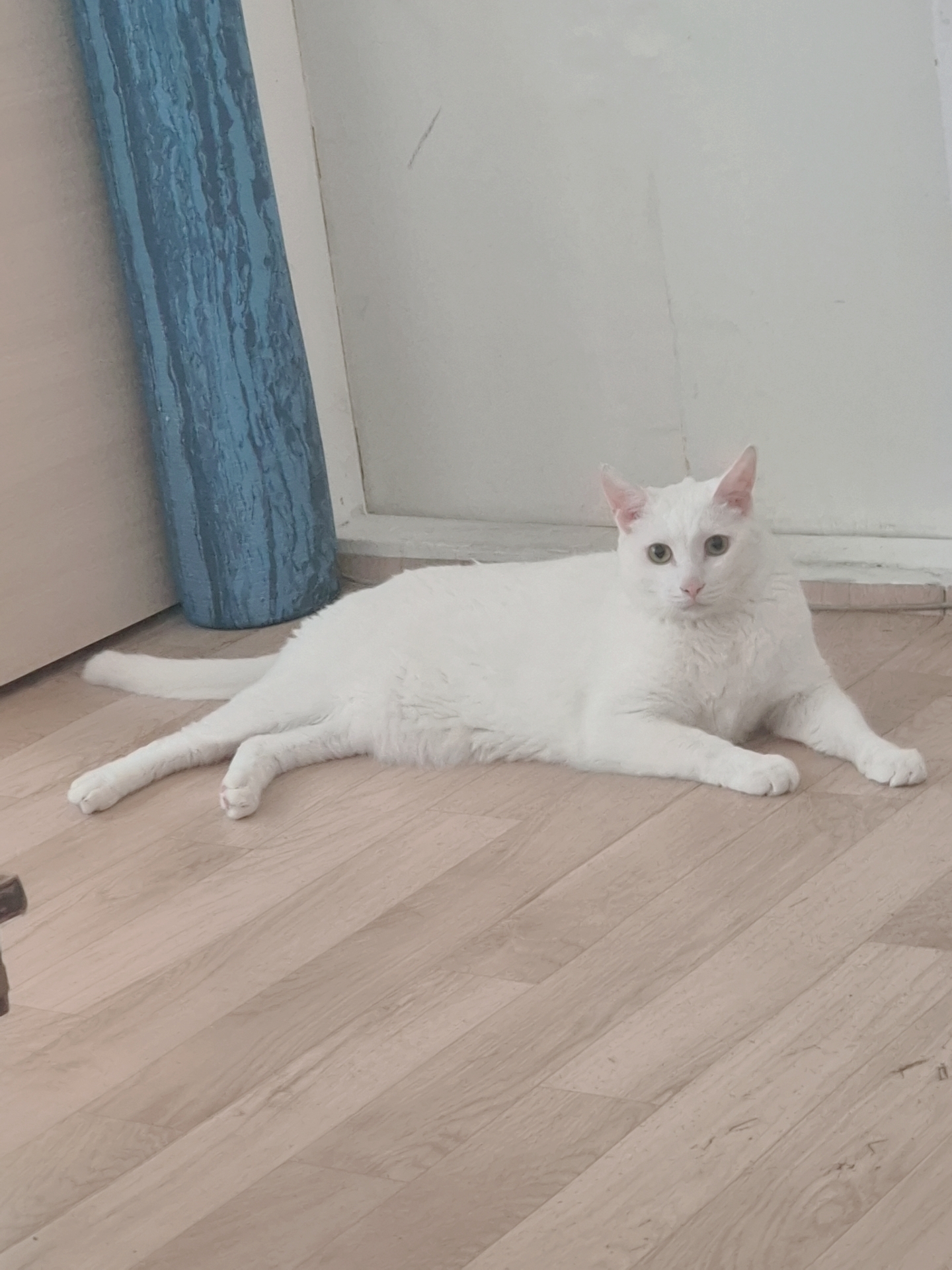 제주도 협재해수욕장에서 공항가는길. 폭우