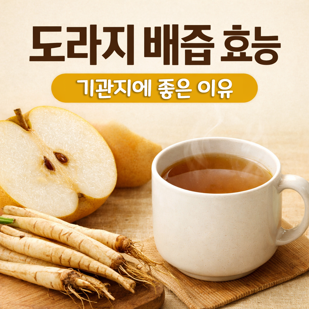 도라지 배즙 효능 정리 기관지에 좋은 이유와 만드는 방법