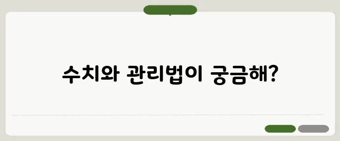 고지혈증 정상 수치와 관리법
