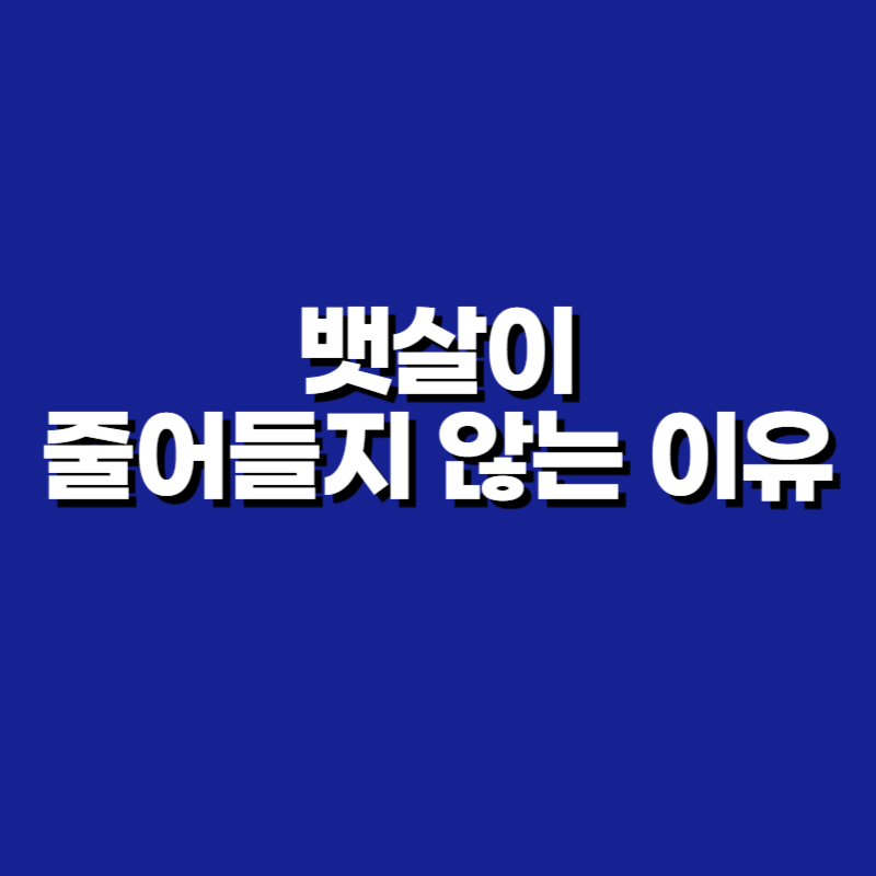 뱃살이 줄어들지 않는 이유