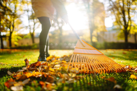 양간지풍 양강지풍 정의와 어원, 발생 원인, 역사적 기록, 기후 변화 영향, 속담, 문화적 의미.