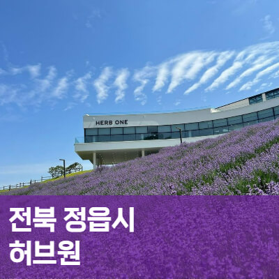전북-정읍-허브원