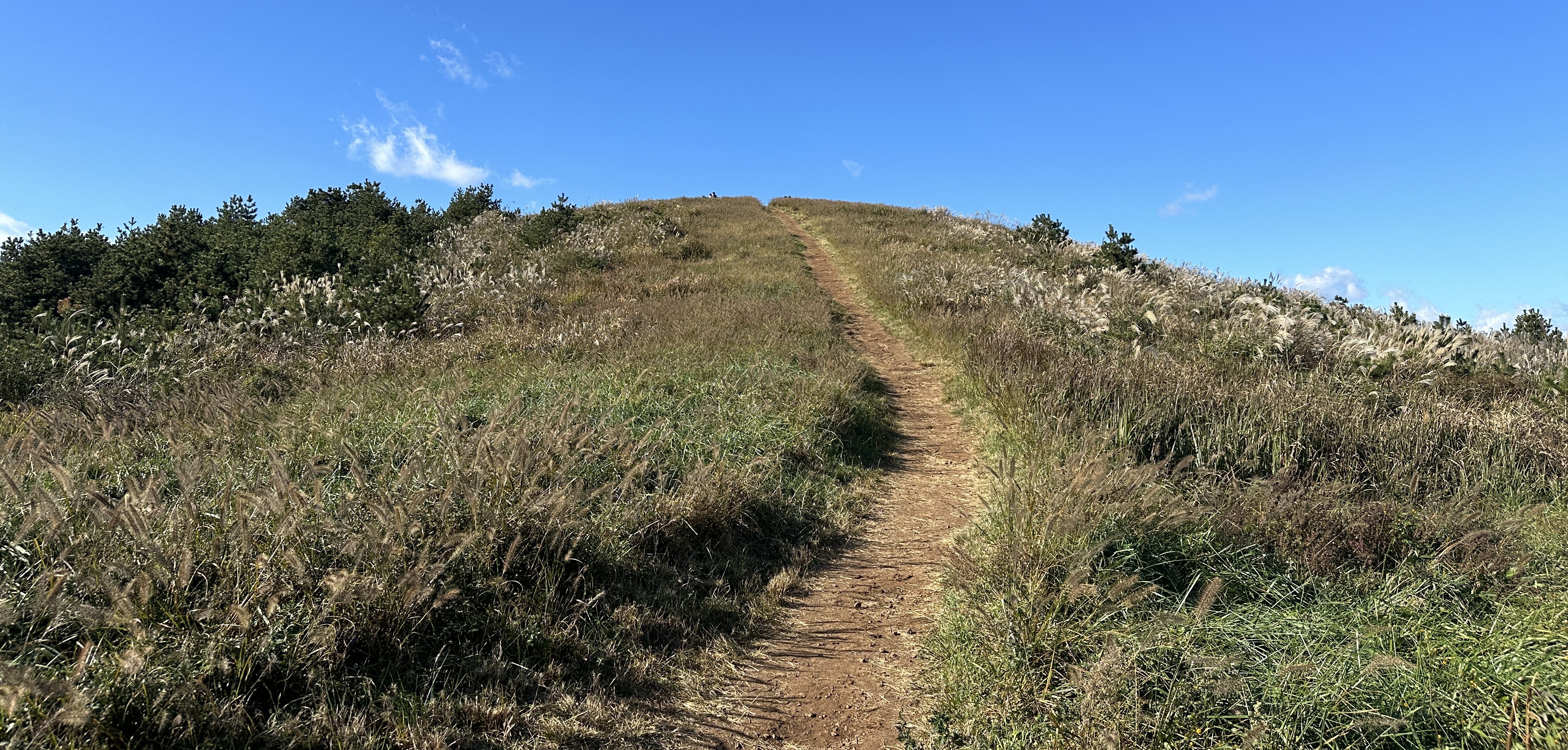 백약이오름 정상