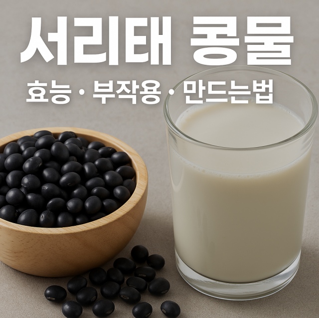 서리태 콩물의 효능과 부작용, 만드는법을 설명하는 대표 이미지