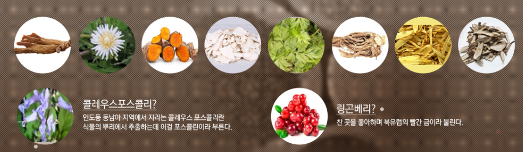 신비감-다이어트-성분