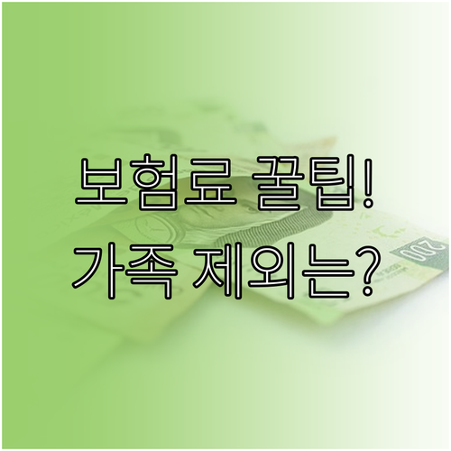 자동차보험 가족한정 특약: 보험료 절..
