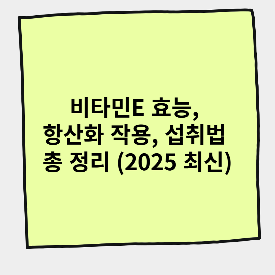 비타민E 효능, 항산화 작용, 섭취법 총 정리 (2025 최신)