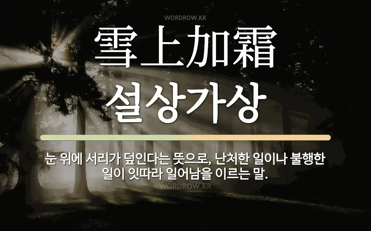 설상가상 뜻 유래 한자 비슷한 말 예문 영어 속담 반대말 안내_5