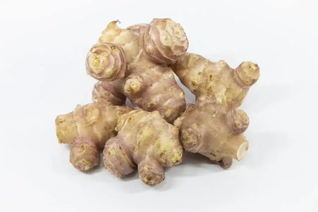 몸 방어 돼지감자