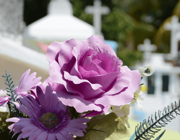 죽은 사람이 나오는 꿈