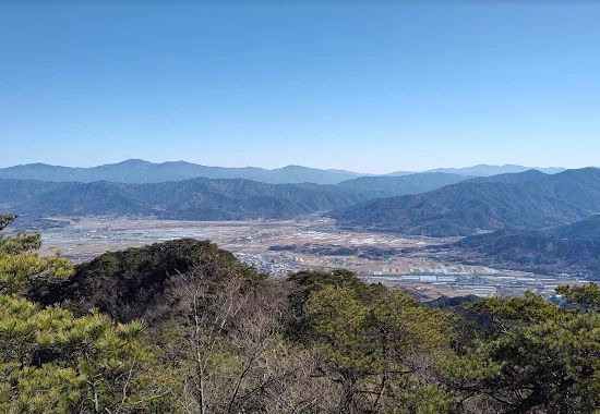 도림사