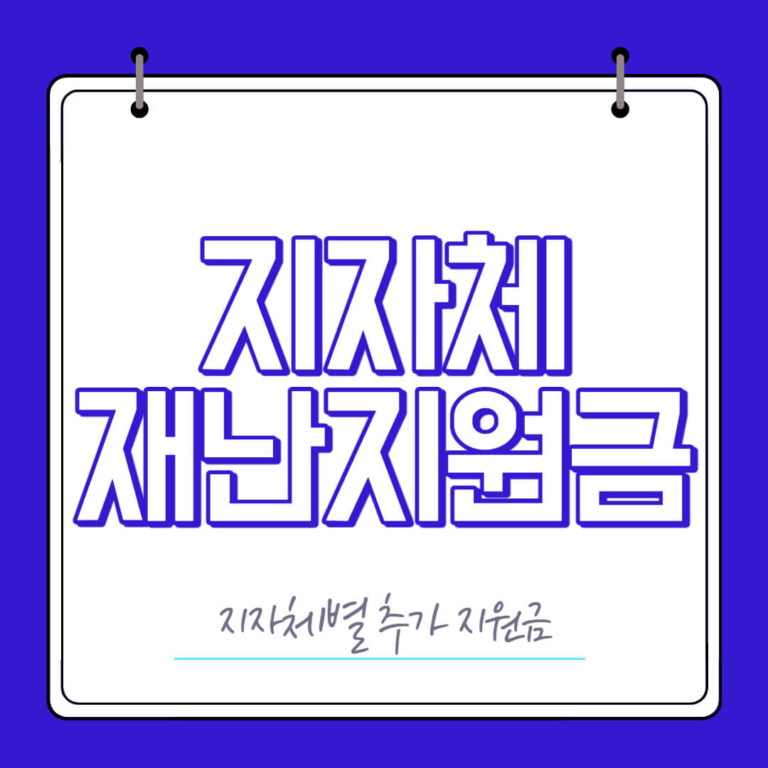 지자체재난지원금