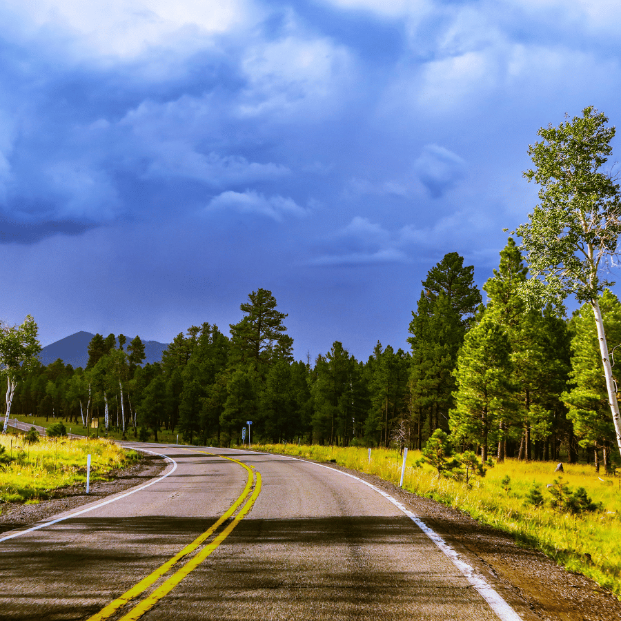 바람 따라, 마음 따라 친구들과 떠나는 감성 드라이브