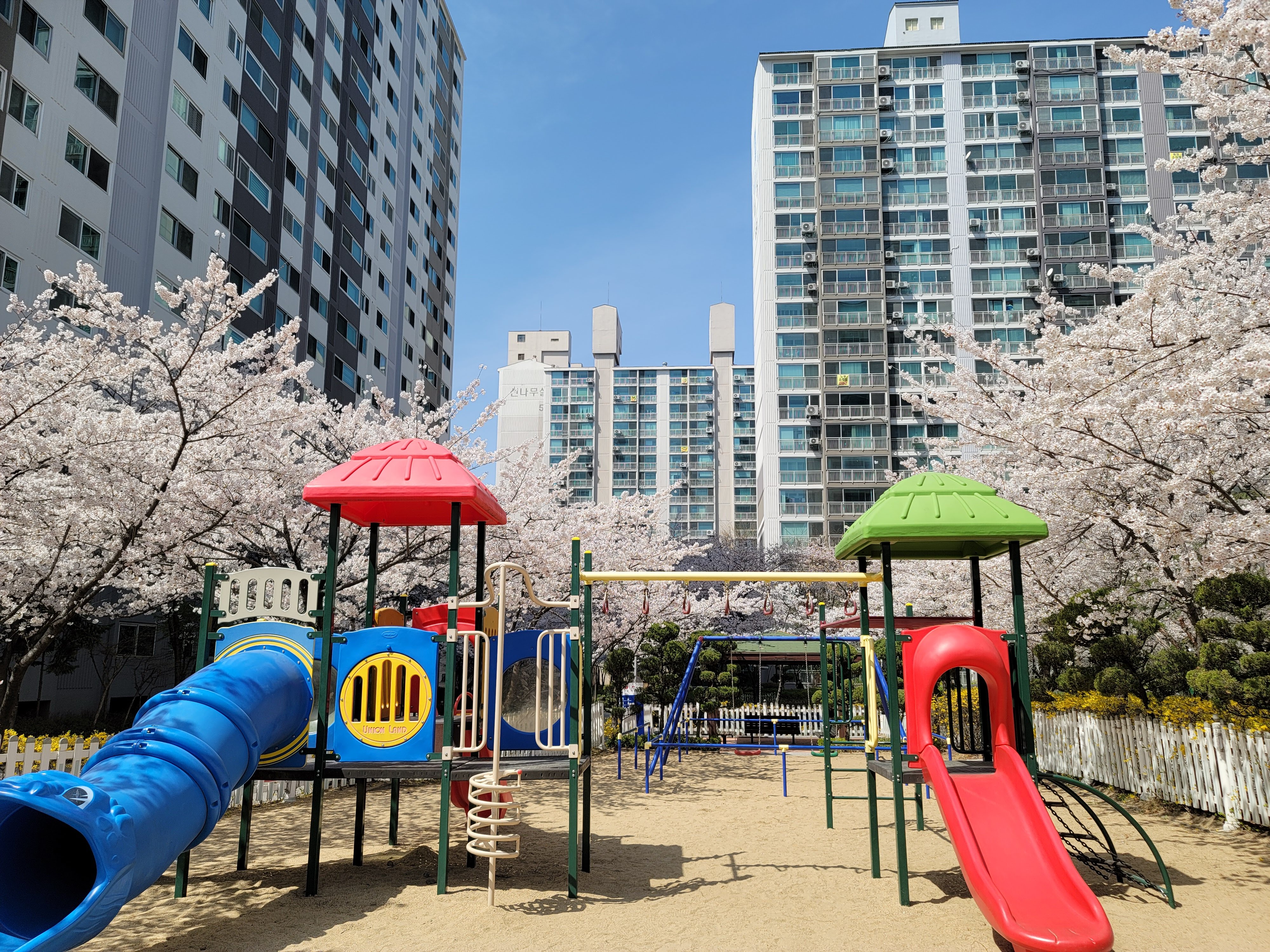 수원 숨은 벚꽃 명소