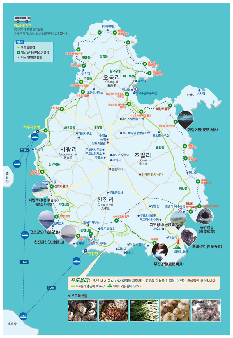 제주도-가볼만한곳-10곳-우도4